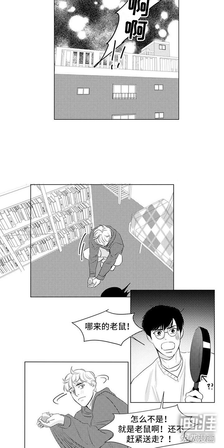 第17章：仓鼠