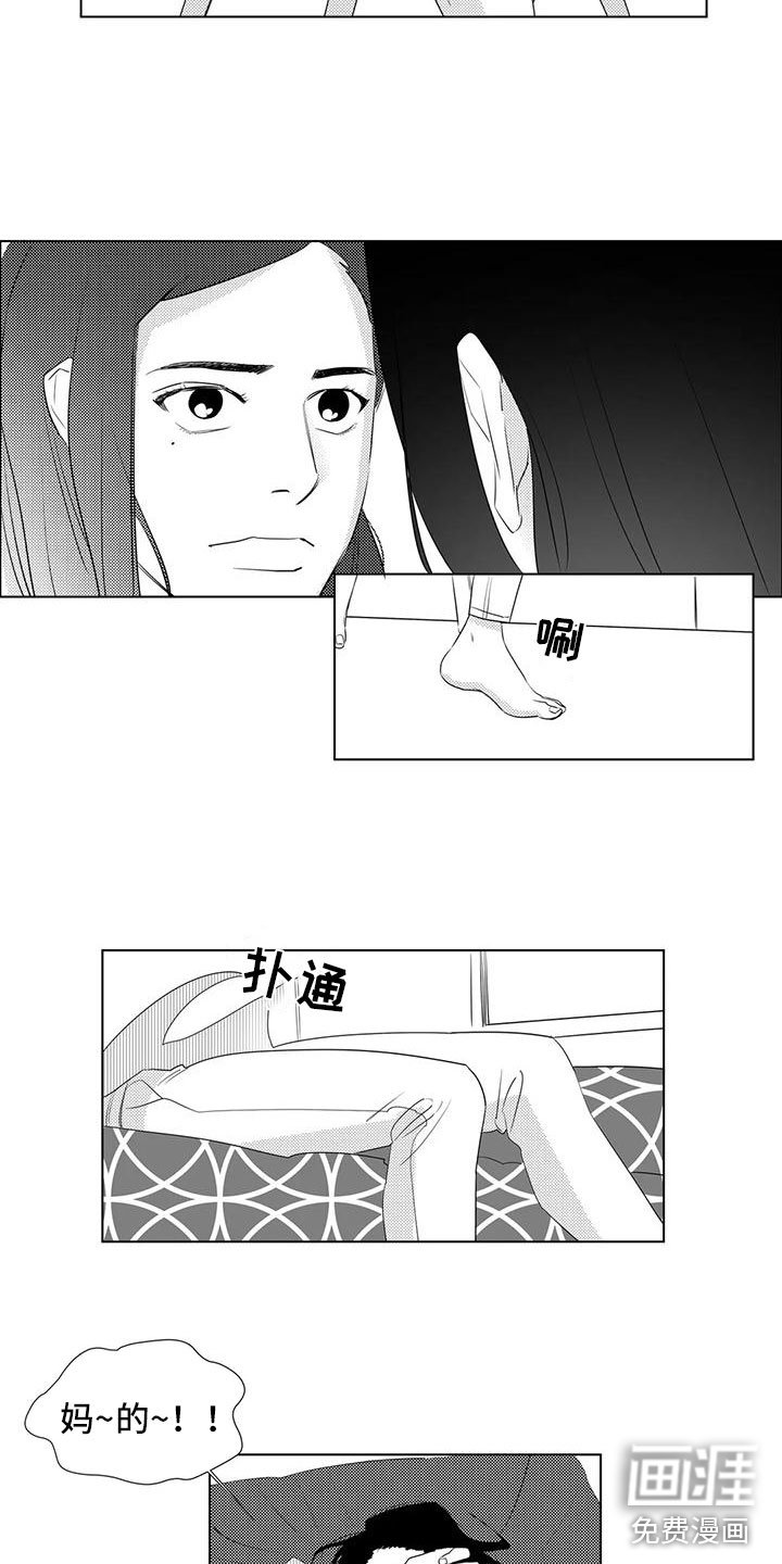 第29章：偶遇