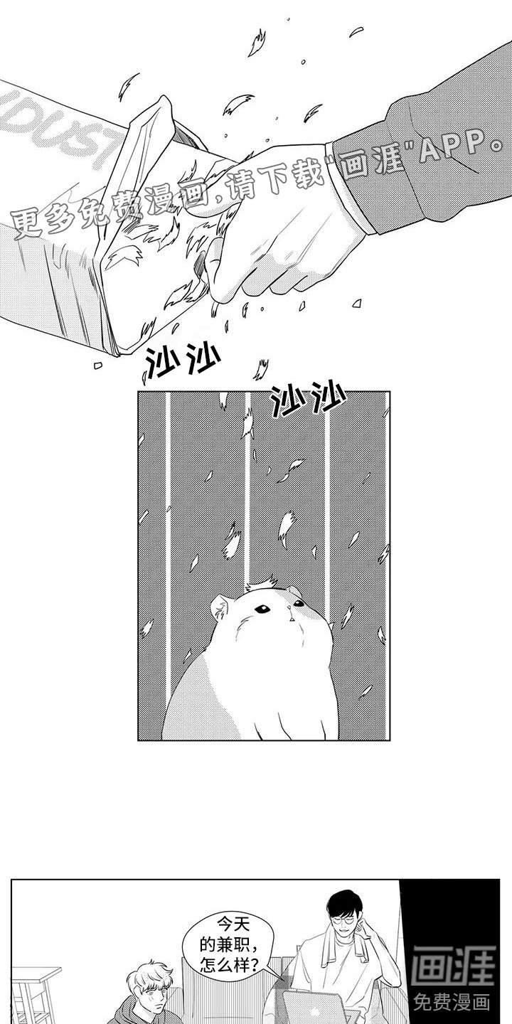 第30章：兼职情况