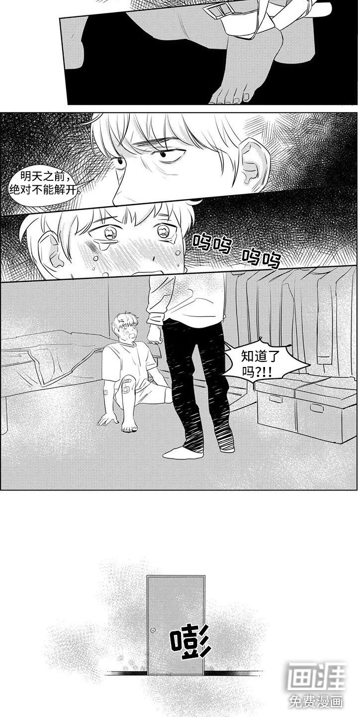第36章：出手