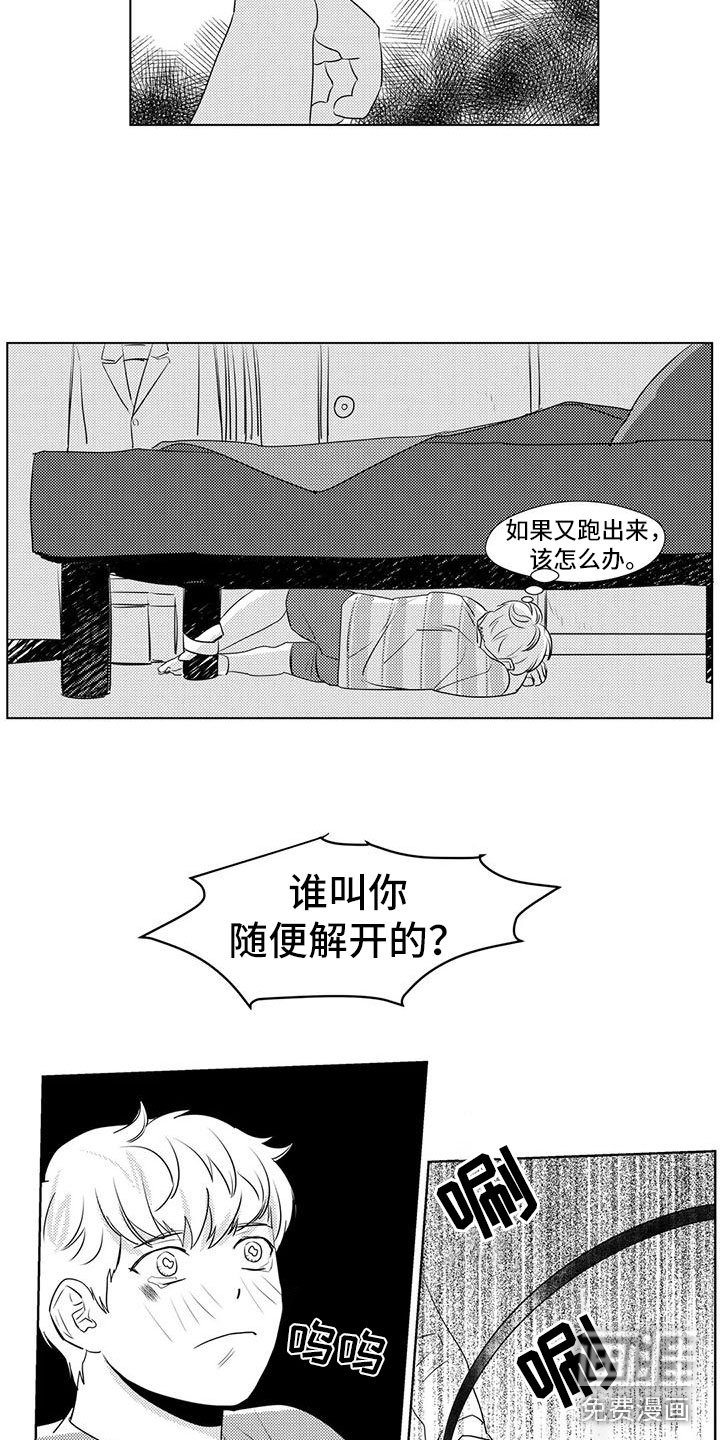 第36章：出手
