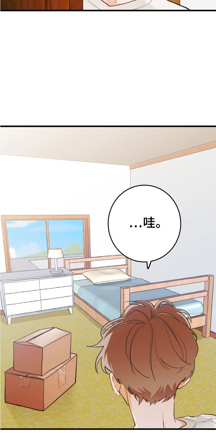第1章： 回到故乡