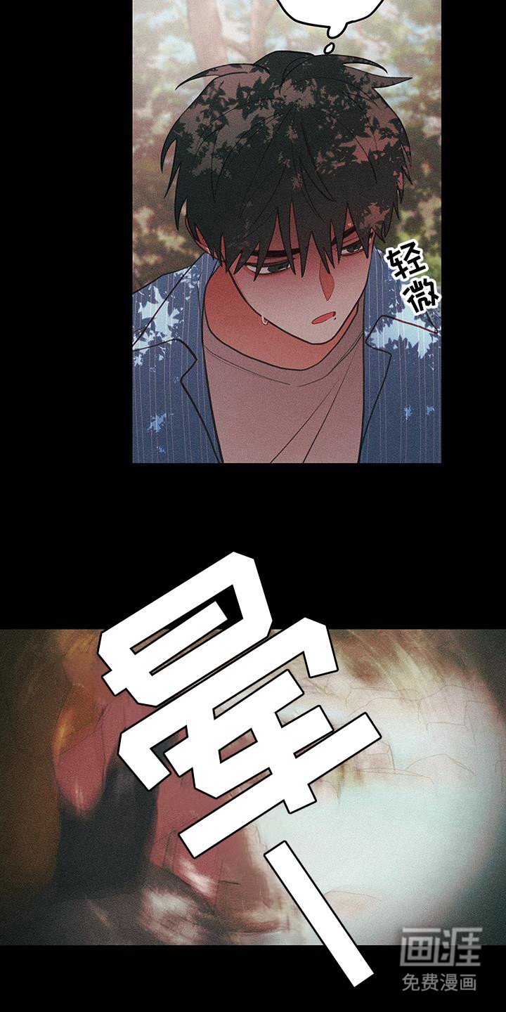 第102章：【第二季】昏迷