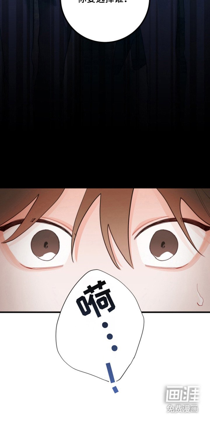 第114章：【第三季】做出选择
