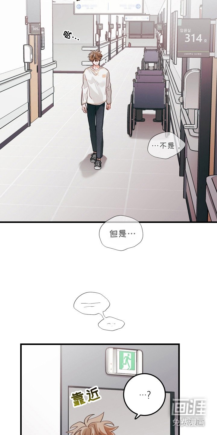 第137章：【第三季】不想相亲