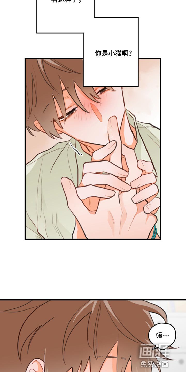 第14章：别乱动