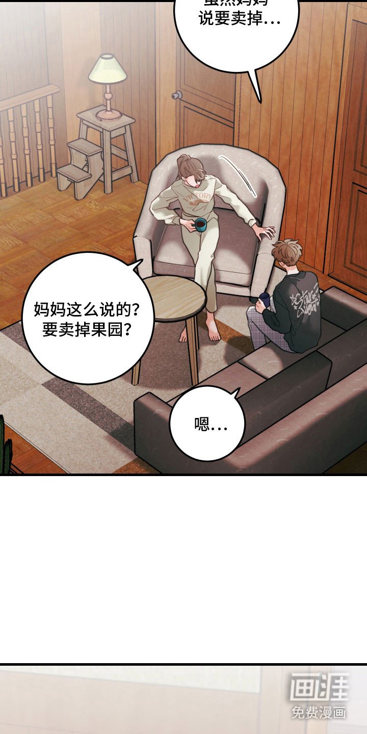 第140章：【第三季】卖掉果园
