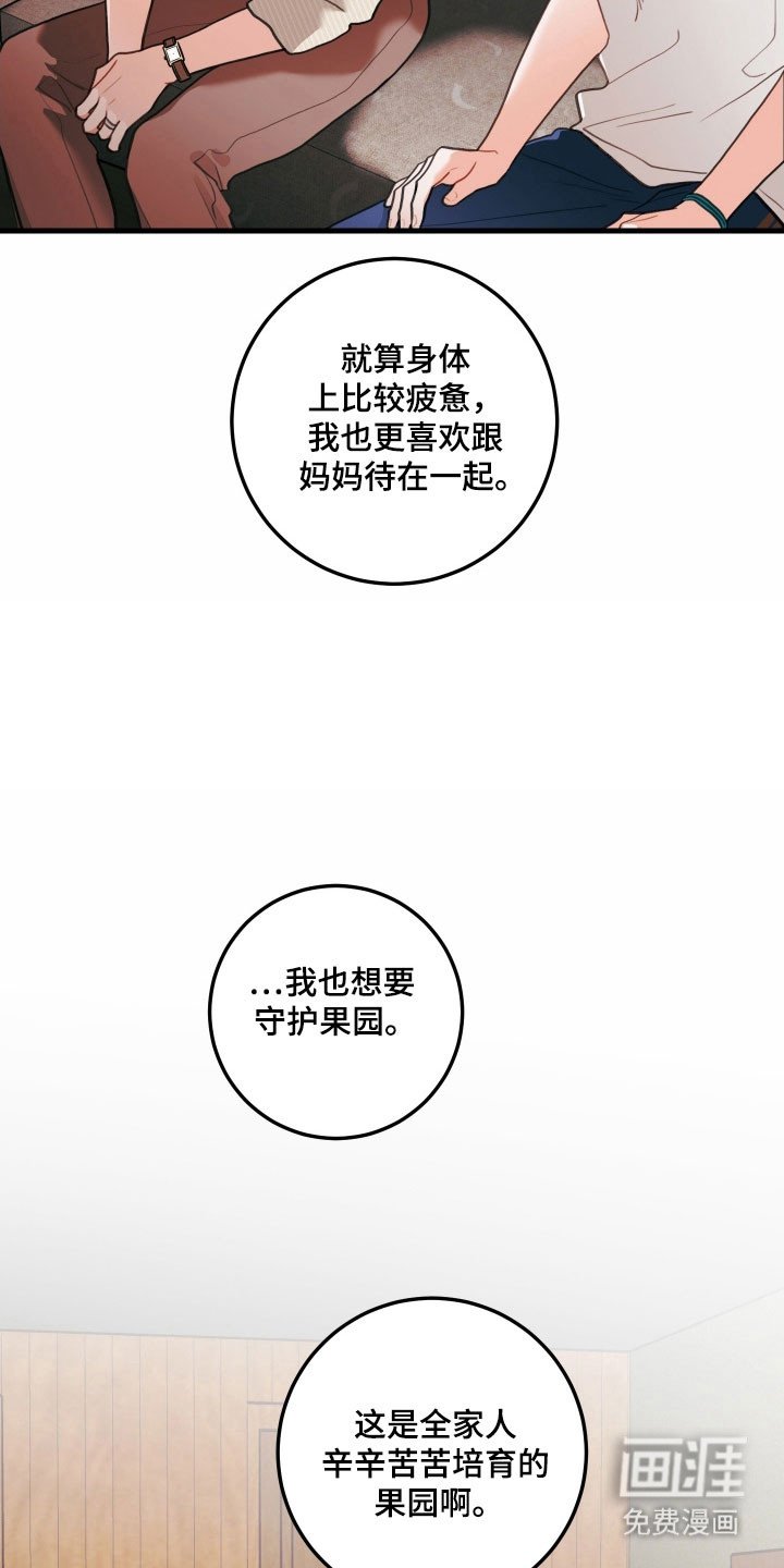 第142章：【第三季】打算接受