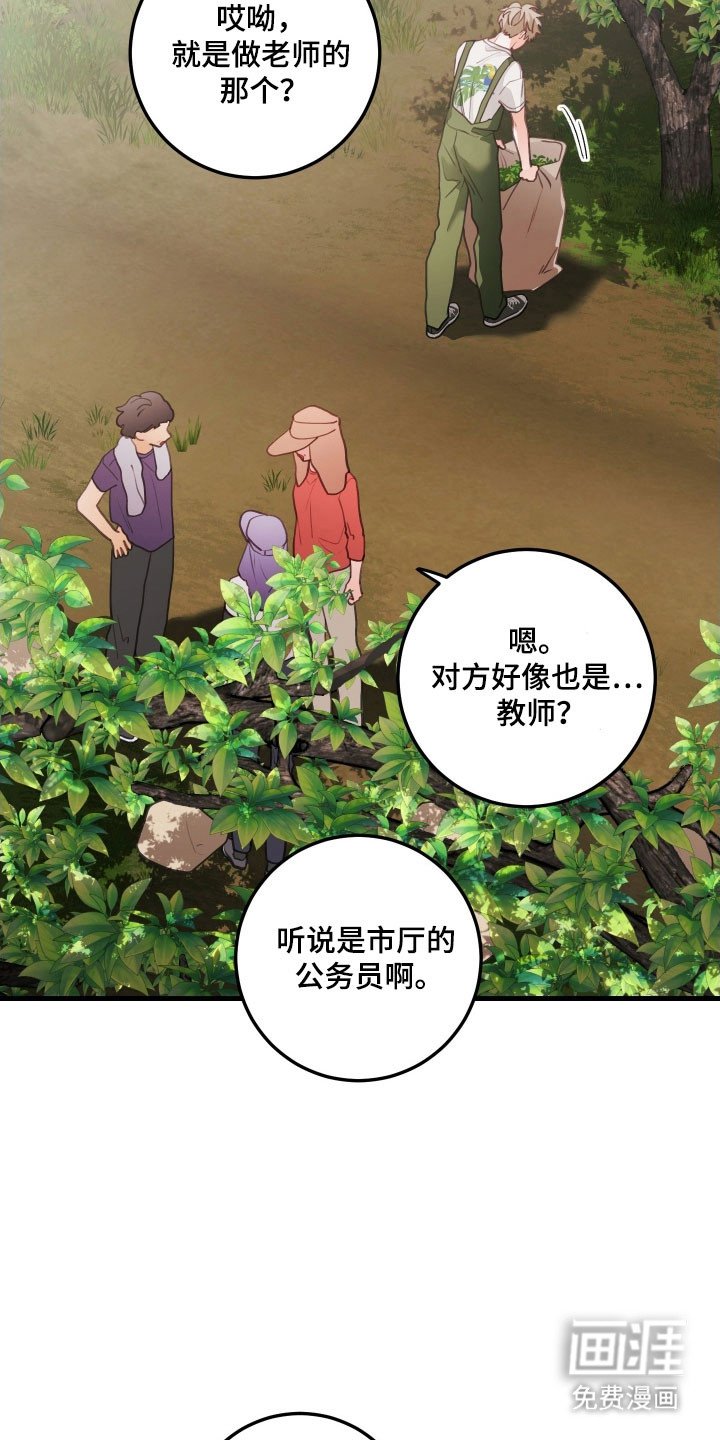 第146章：【第三季】相亲