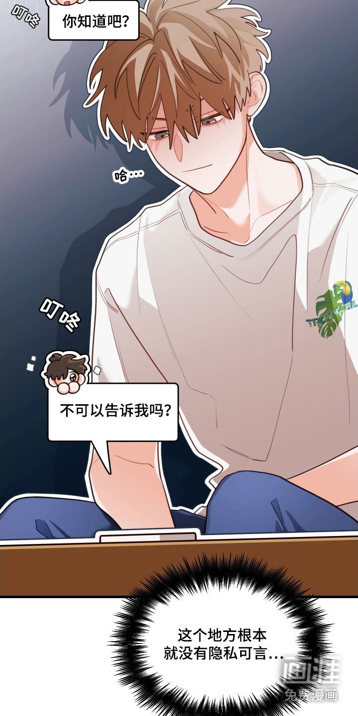 第146章：【第三季】相亲