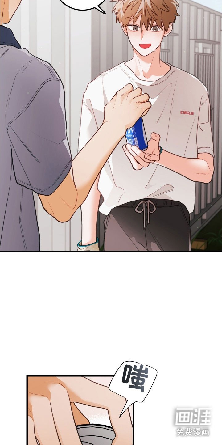 第146章：【第三季】相亲