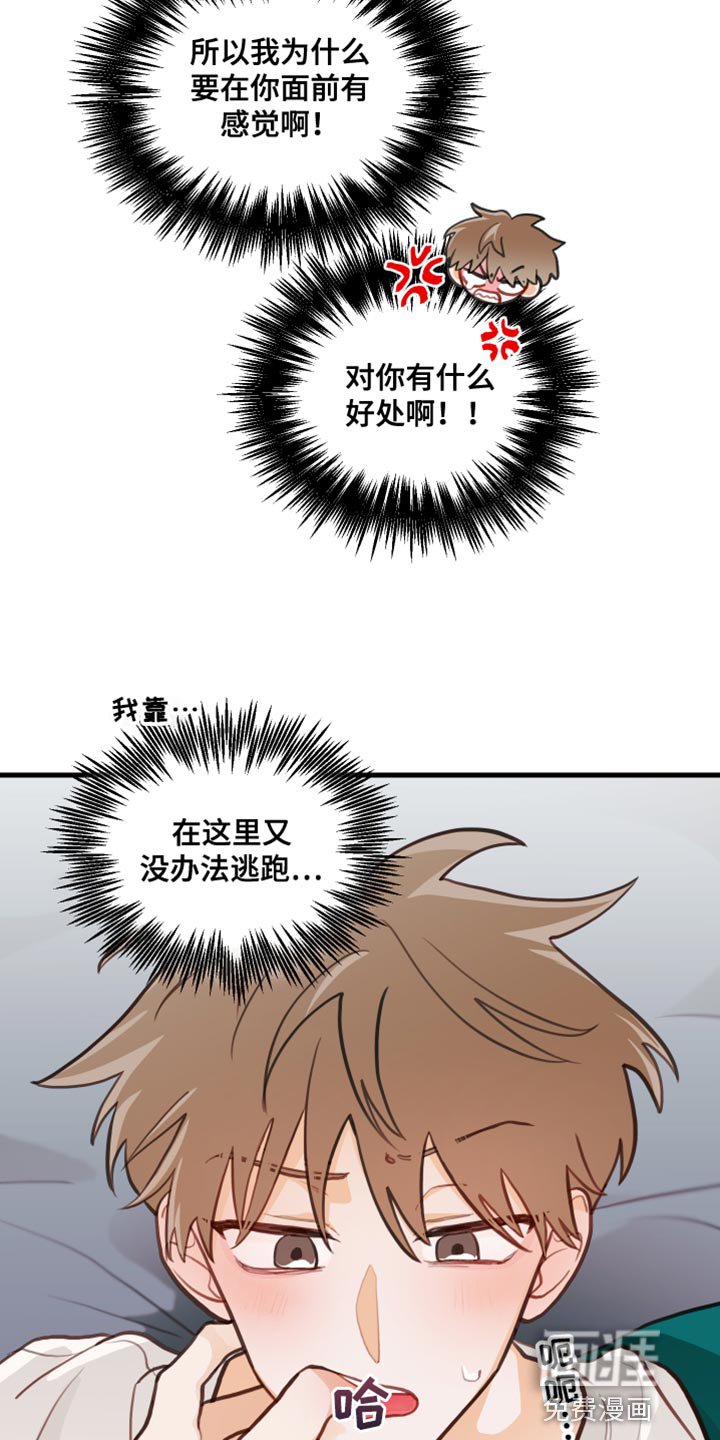第24章：禁止