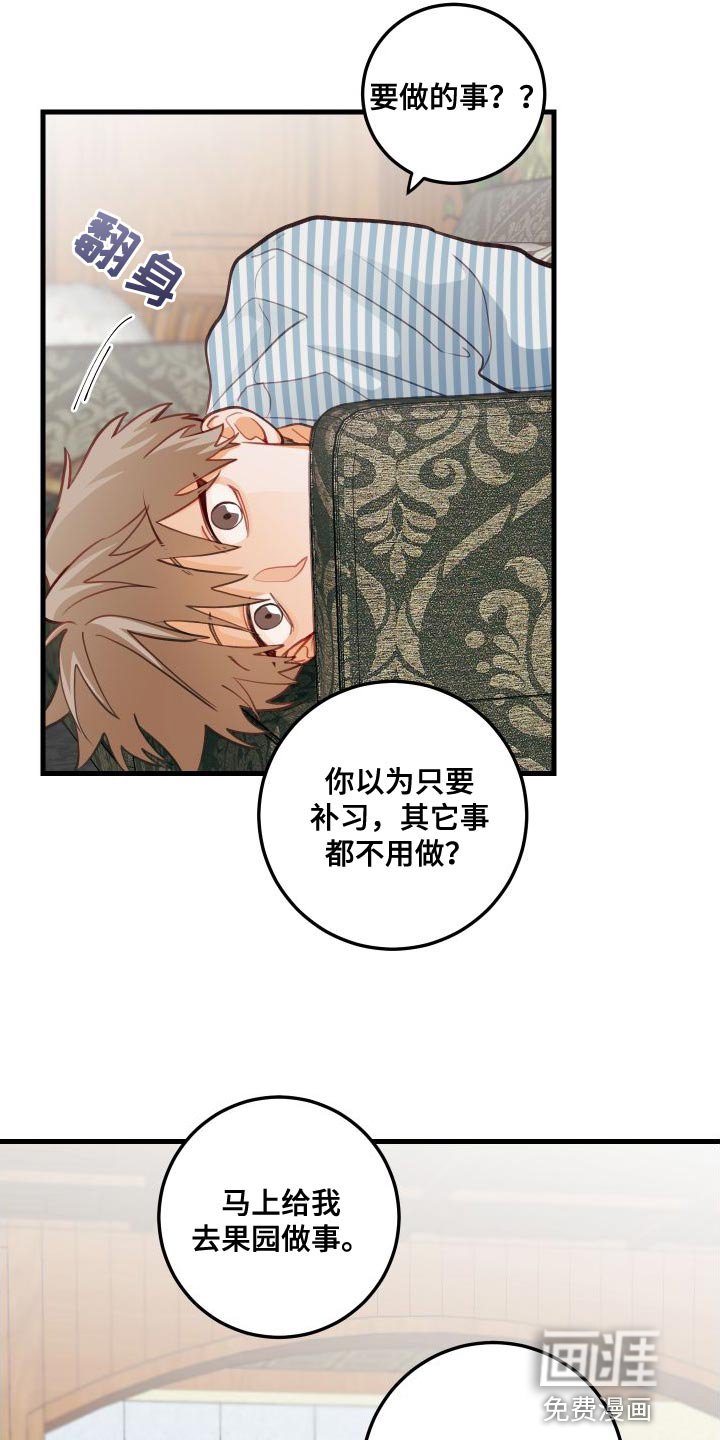第28章：送茄子