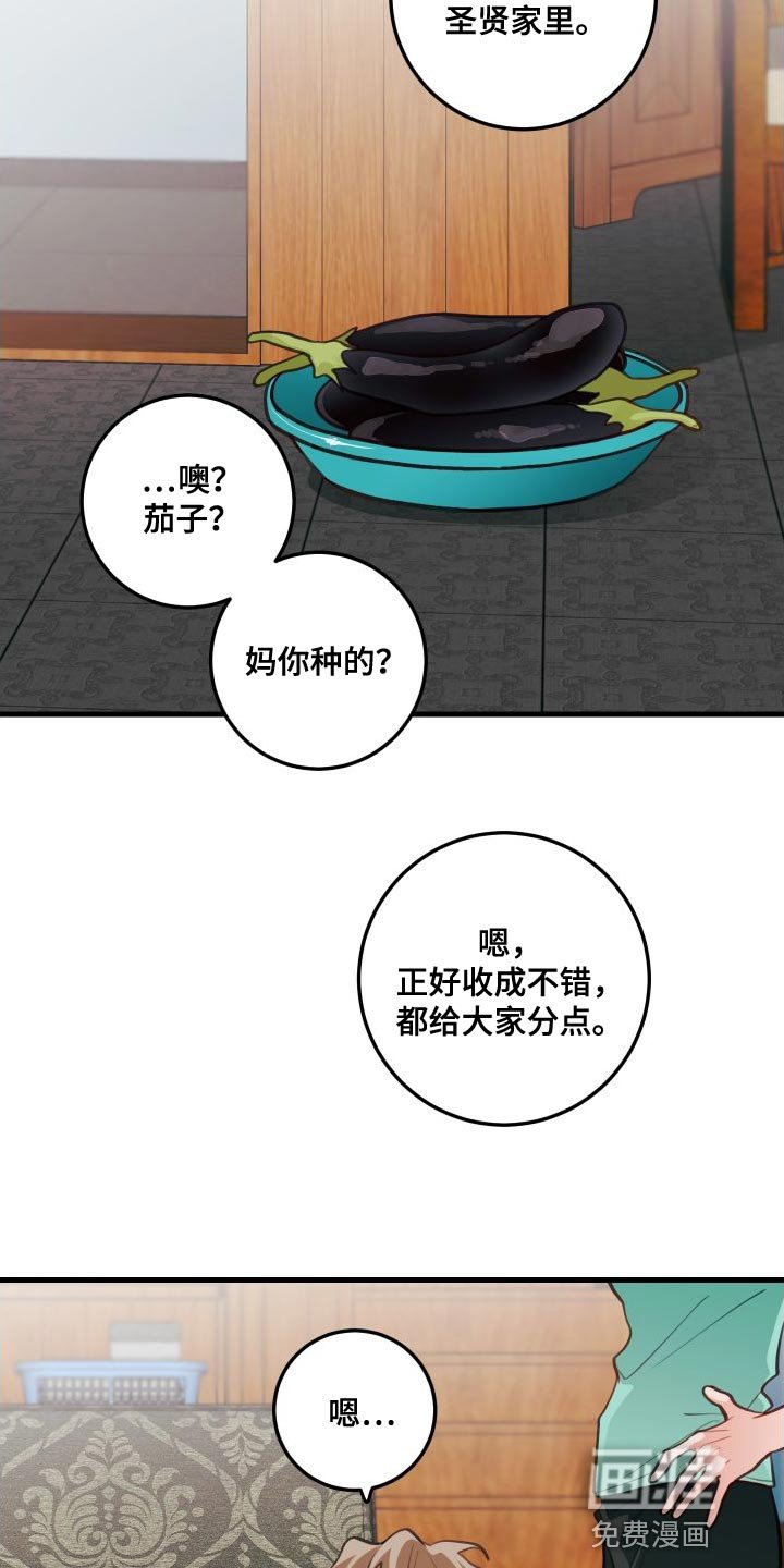 第28章：送茄子