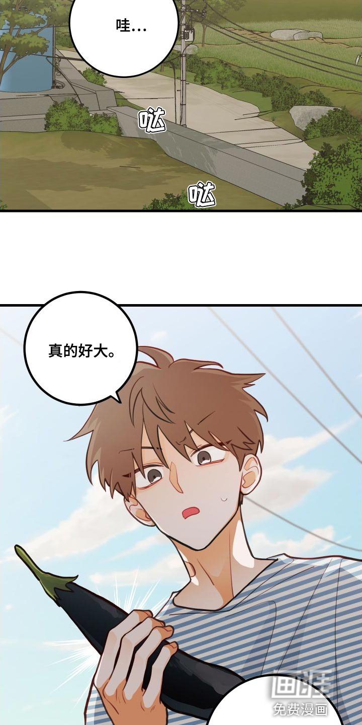 第28章：送茄子