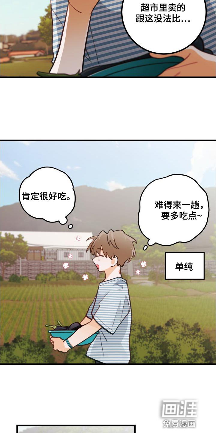 第28章：送茄子