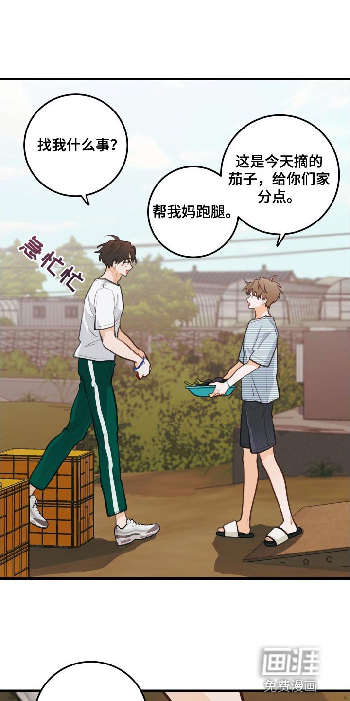第28章：送茄子