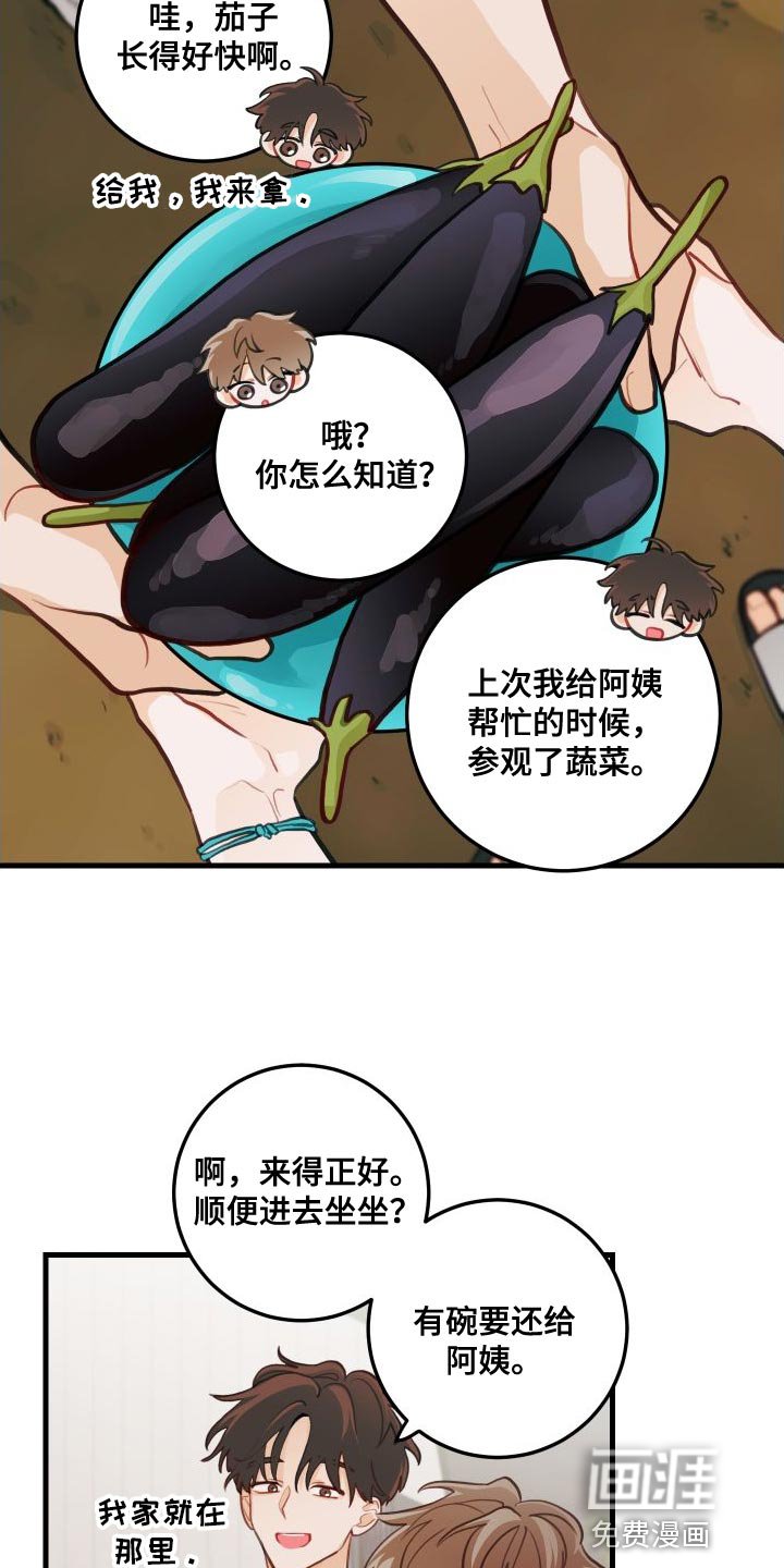 第28章：送茄子