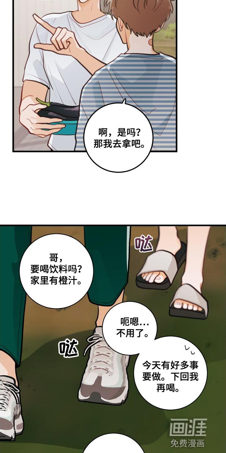 第28章：送茄子