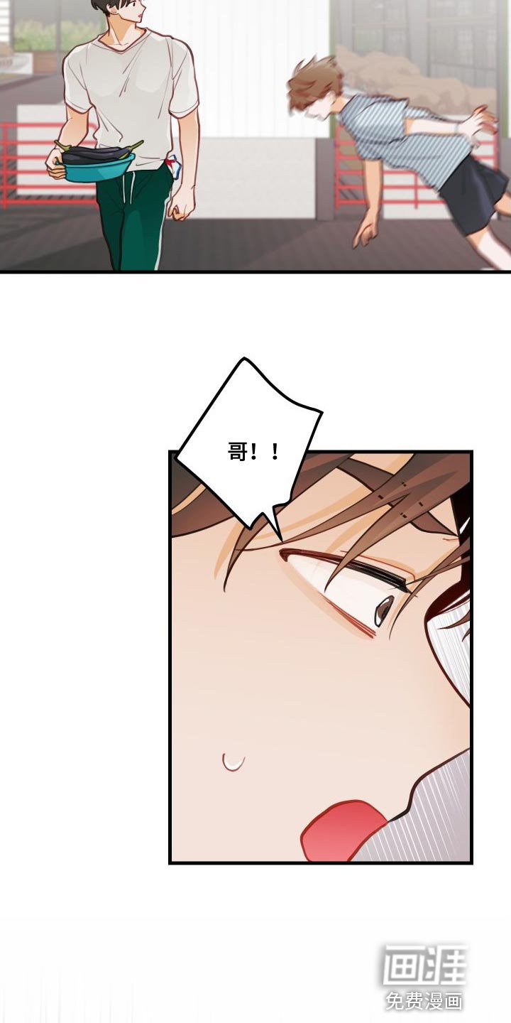 第28章：送茄子