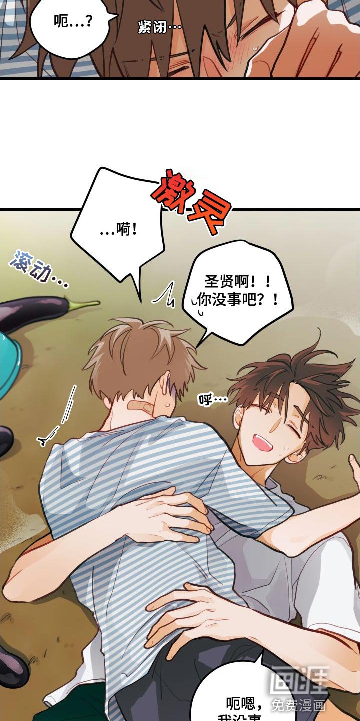 第28章：送茄子