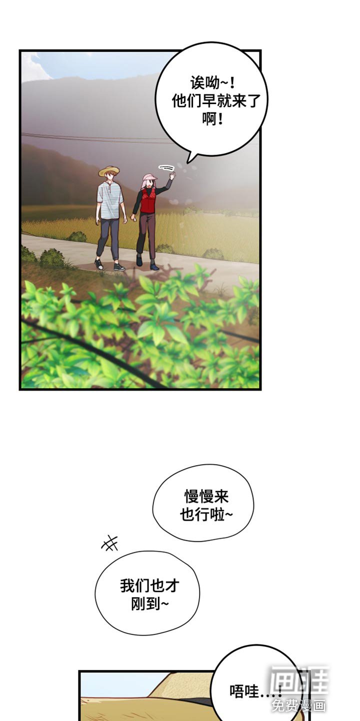 第31章：果园
