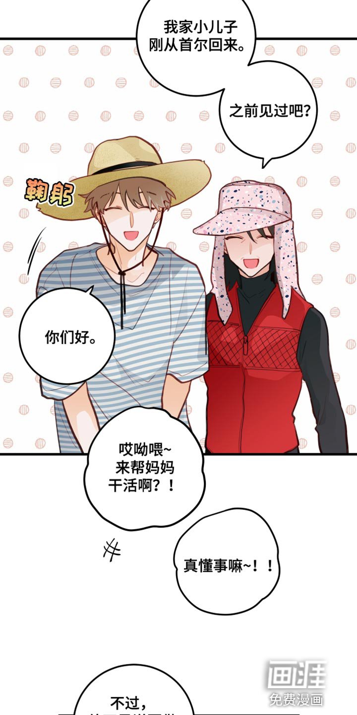 第31章：果园