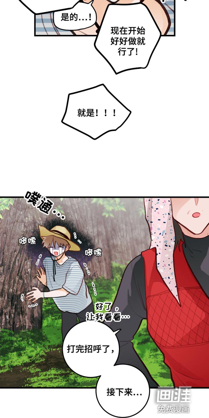 第31章：果园