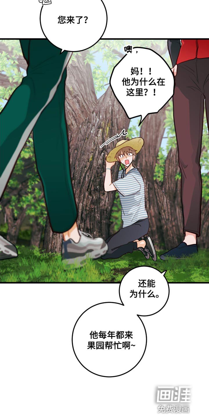 第31章：果园