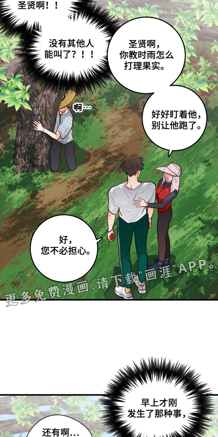 第31章：果园