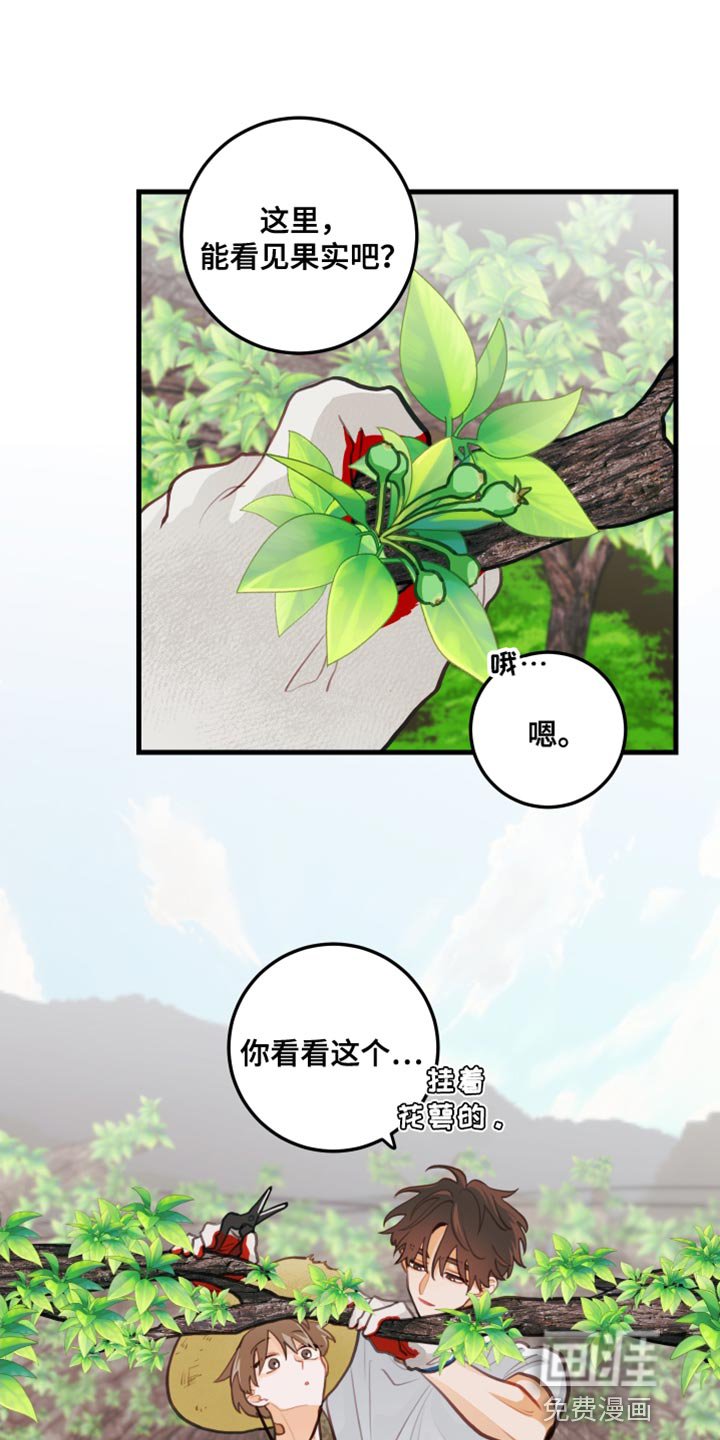第32章：认真干活