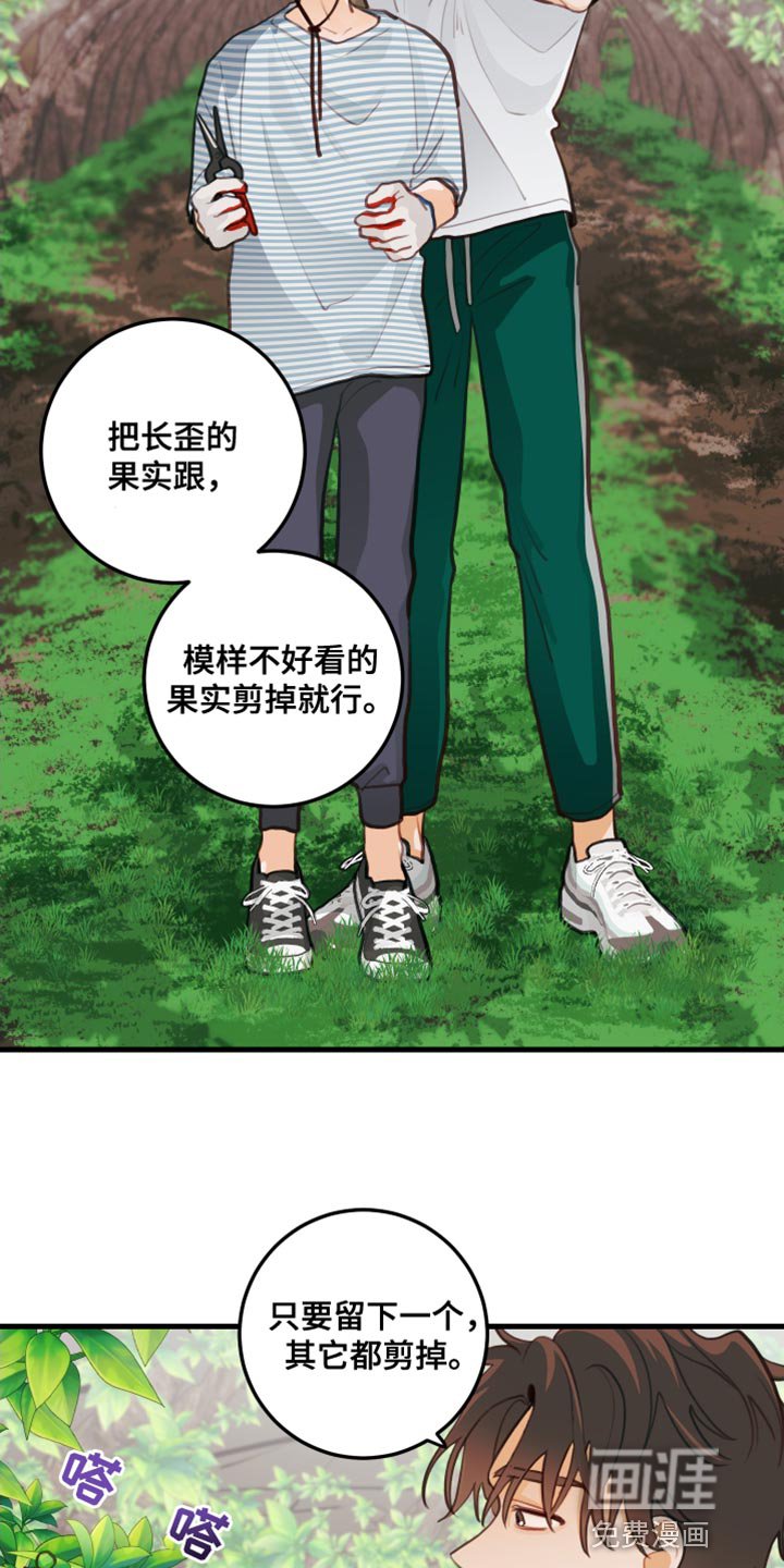 第32章：认真干活