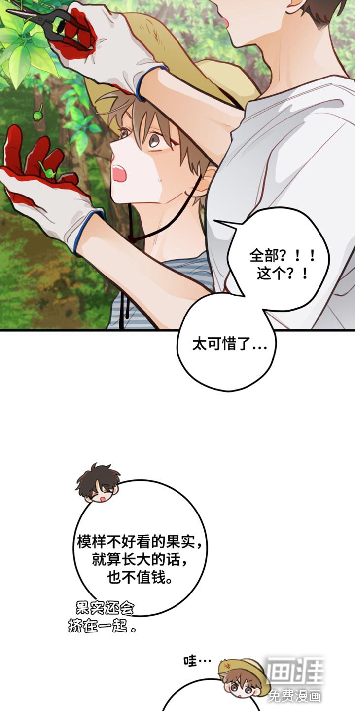 第32章：认真干活