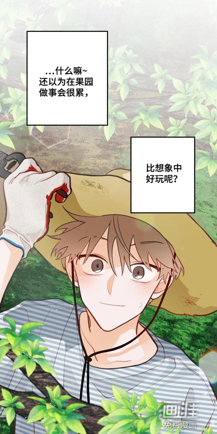 第32章：认真干活
