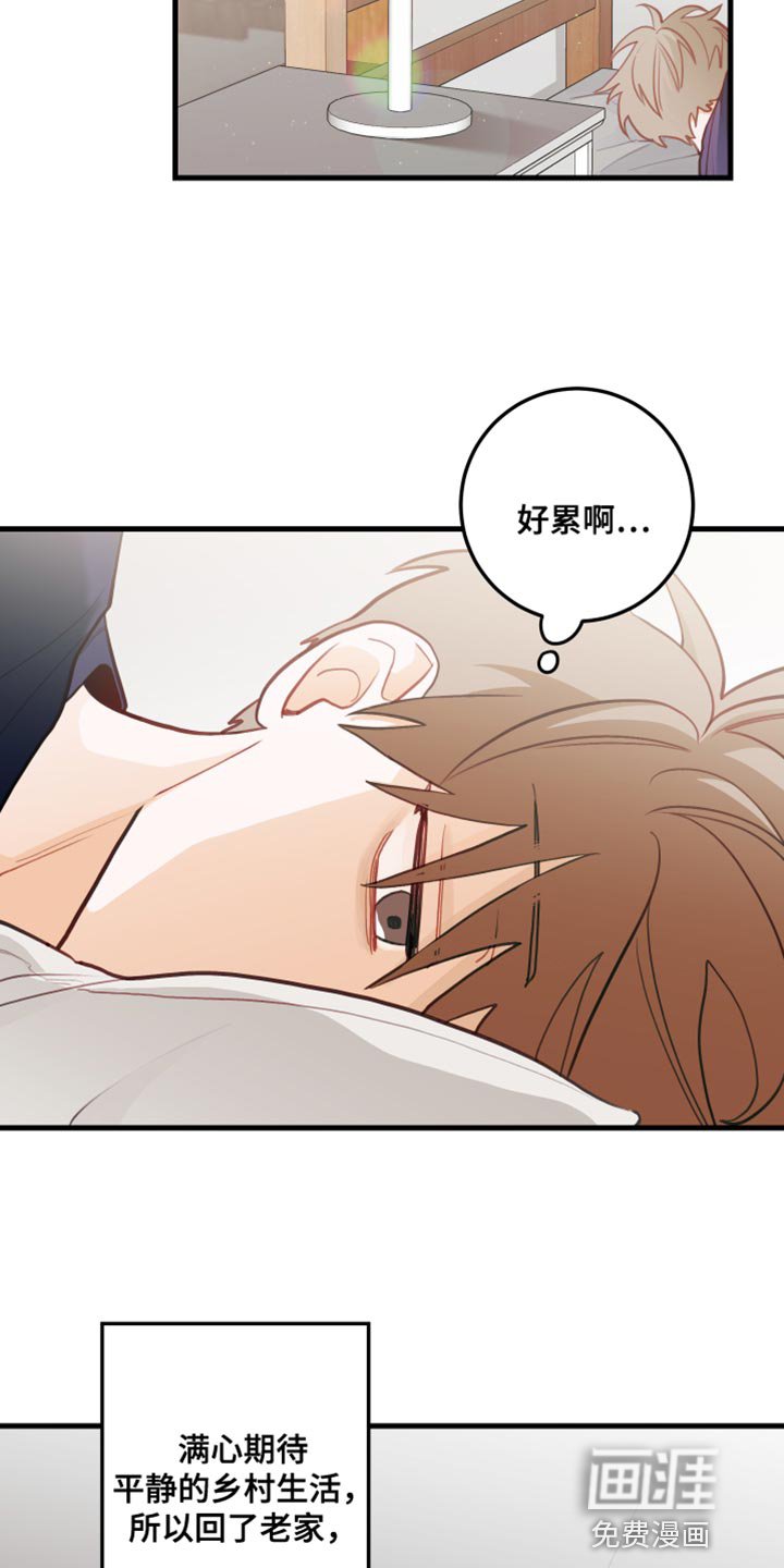 第42章：野营