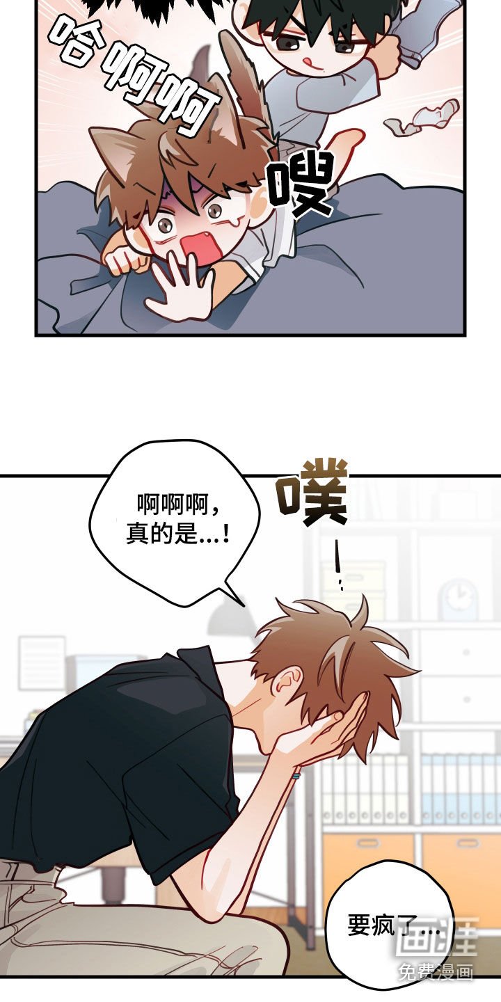 第52章：笑容