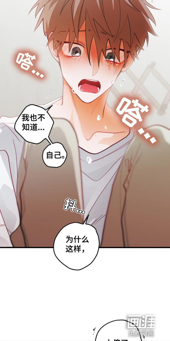 第59章：【第二季】集中于这里