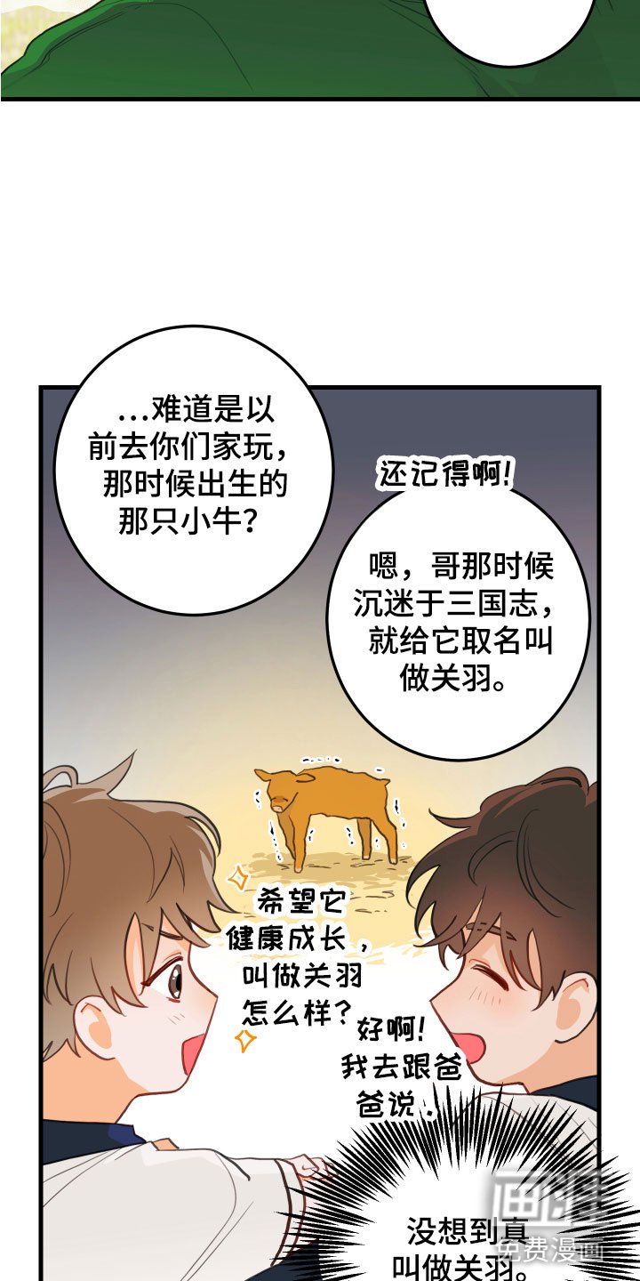 第6章：混乱