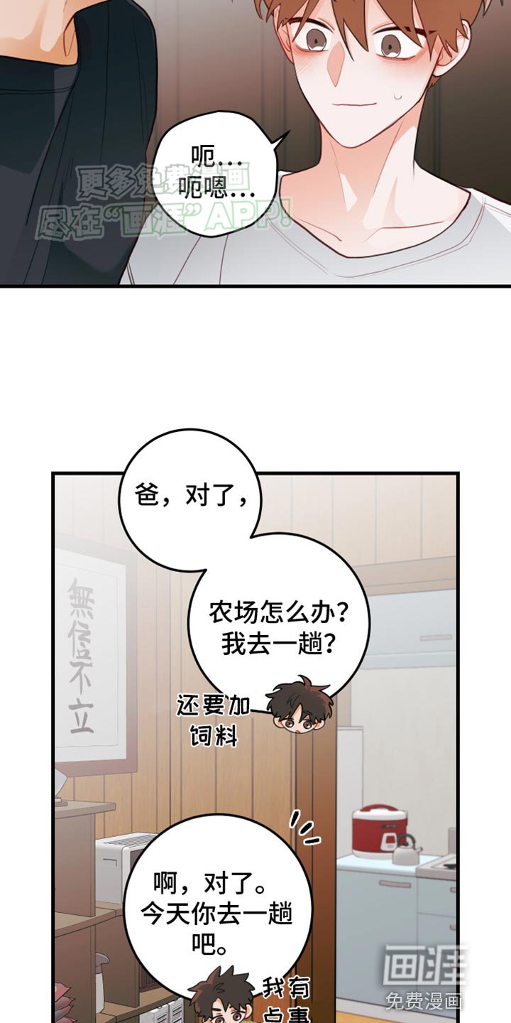 第61章：【第二季】别接