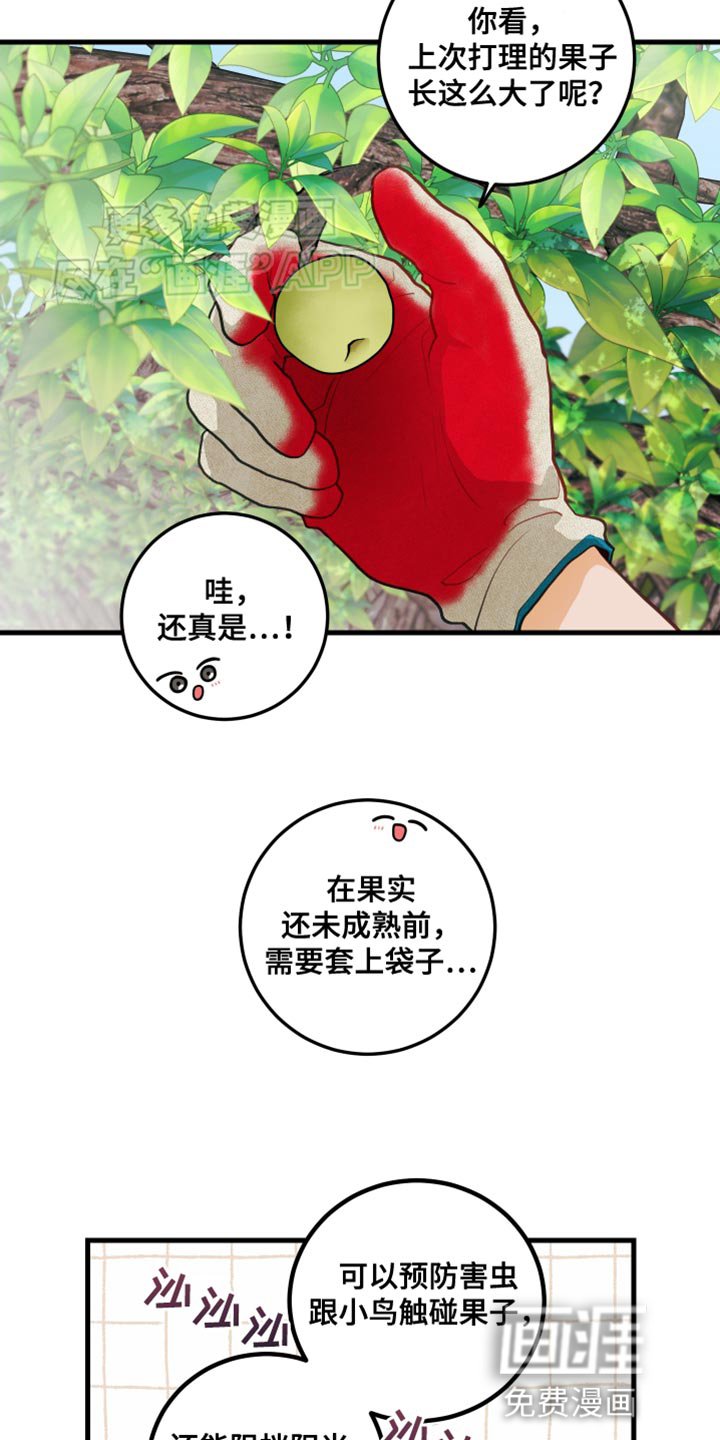 第68章：【第二季】只是担心你