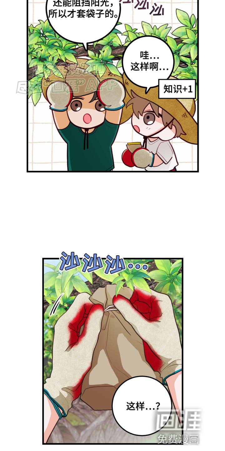第68章：【第二季】只是担心你