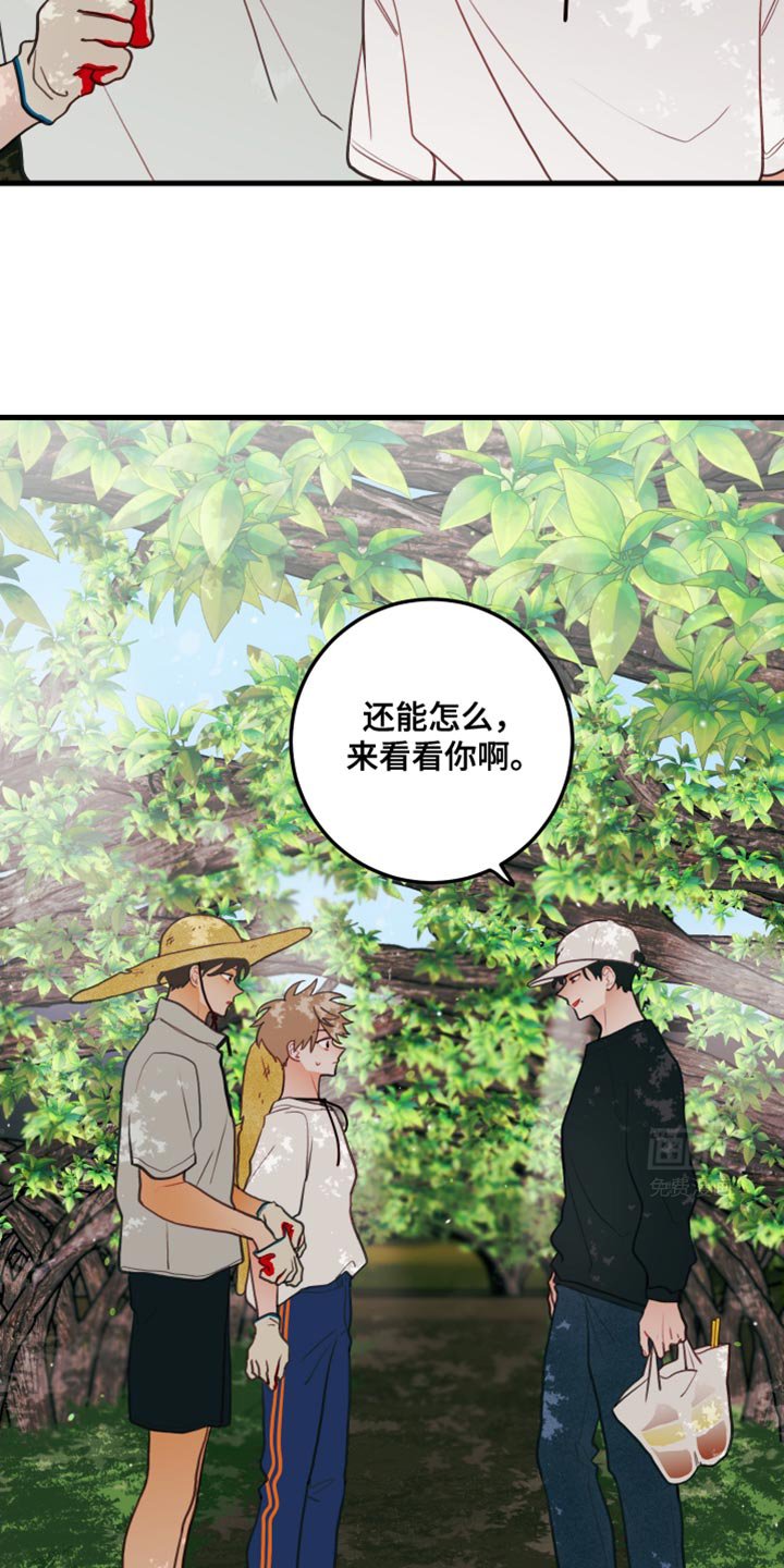 第84章：【第二季】来看看你