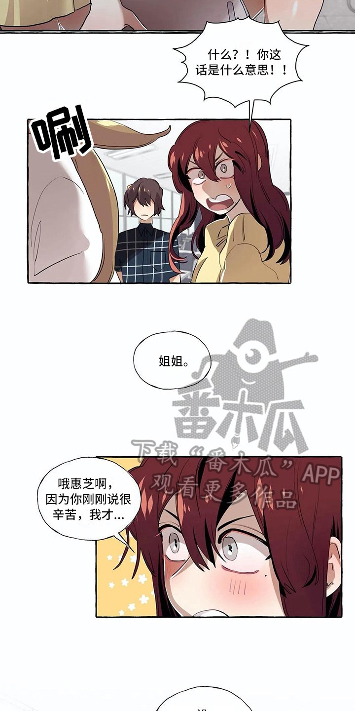 第17章：解释