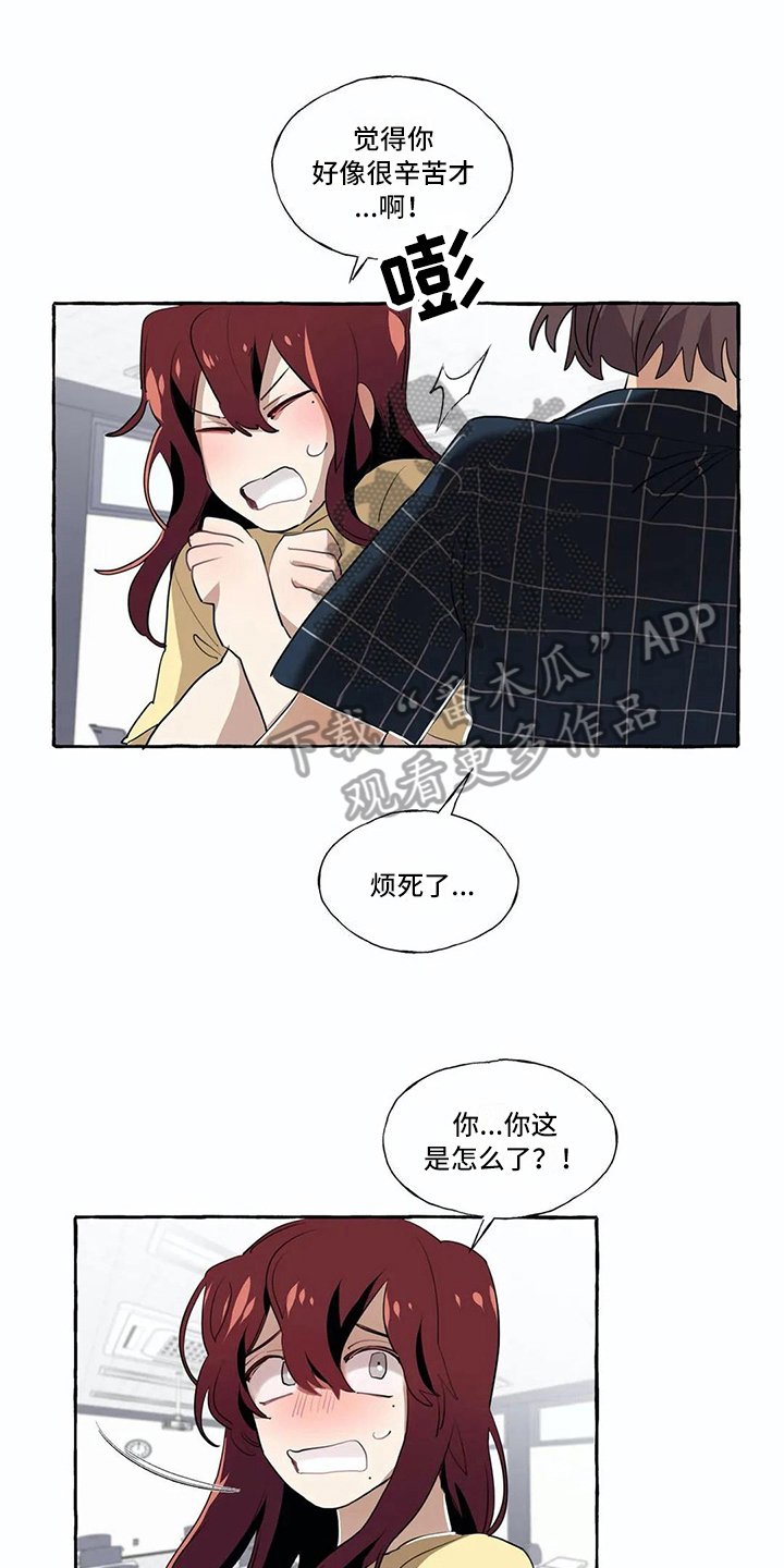 第17章：解释