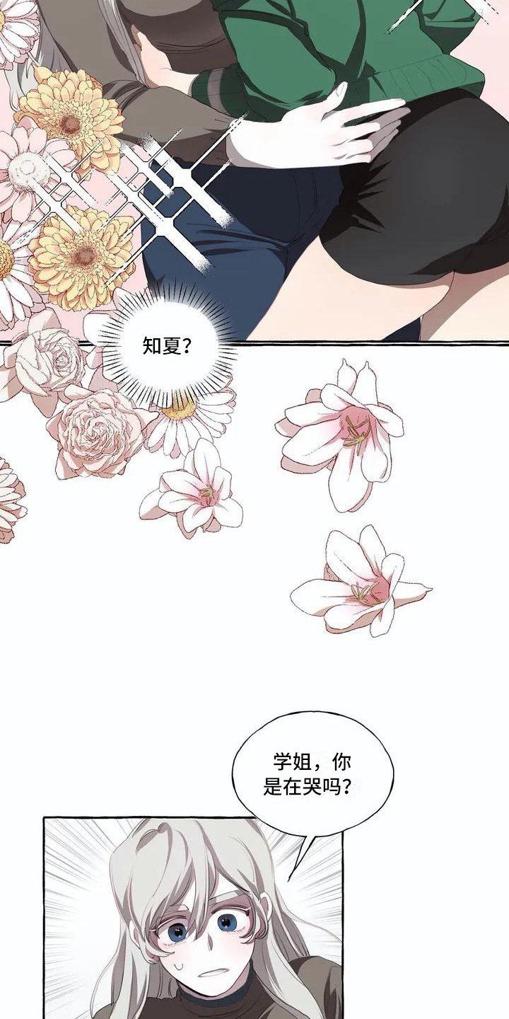 第3章：决心