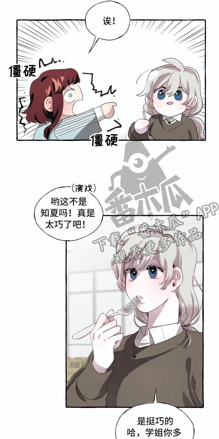 第4章：追求