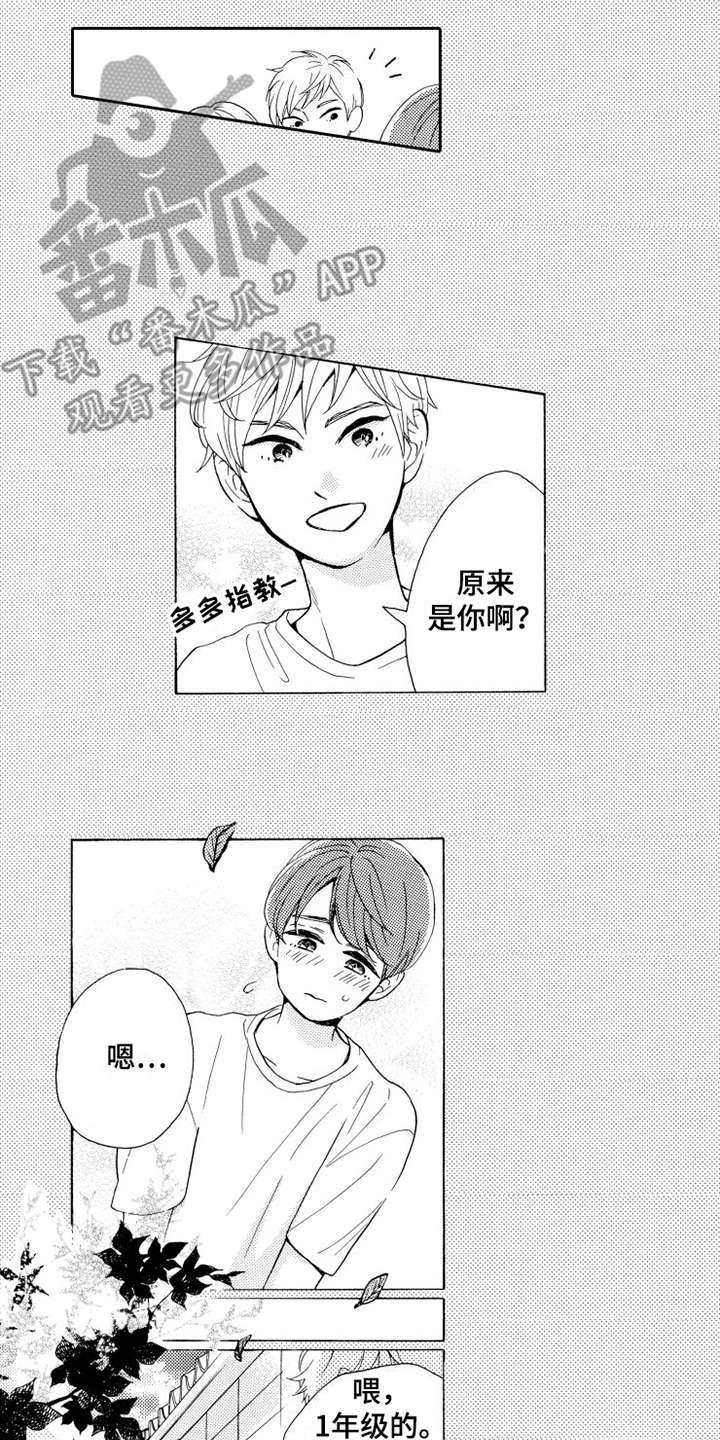 第17章：乐观