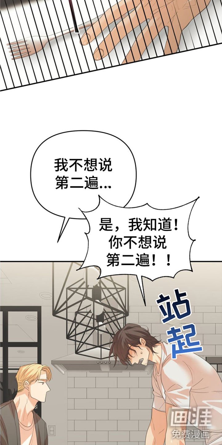 第11章：一个机会