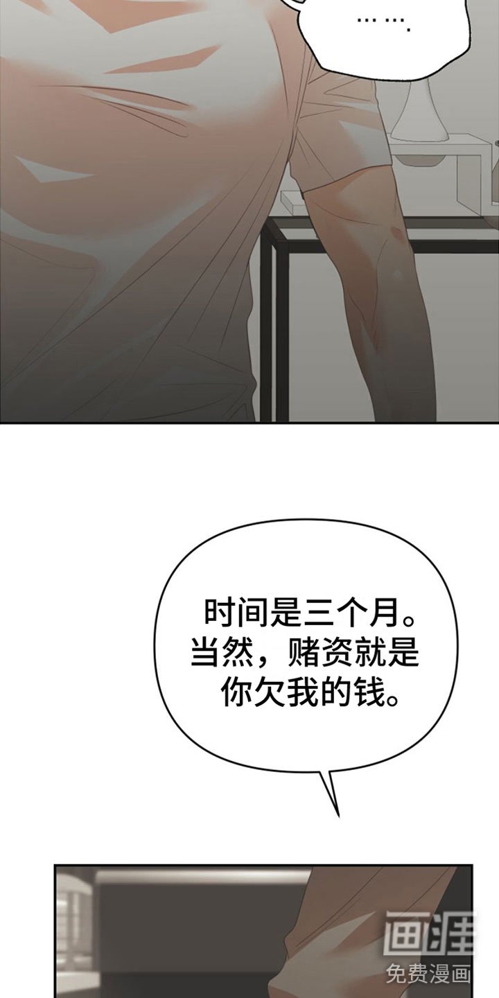 第11章：一个机会