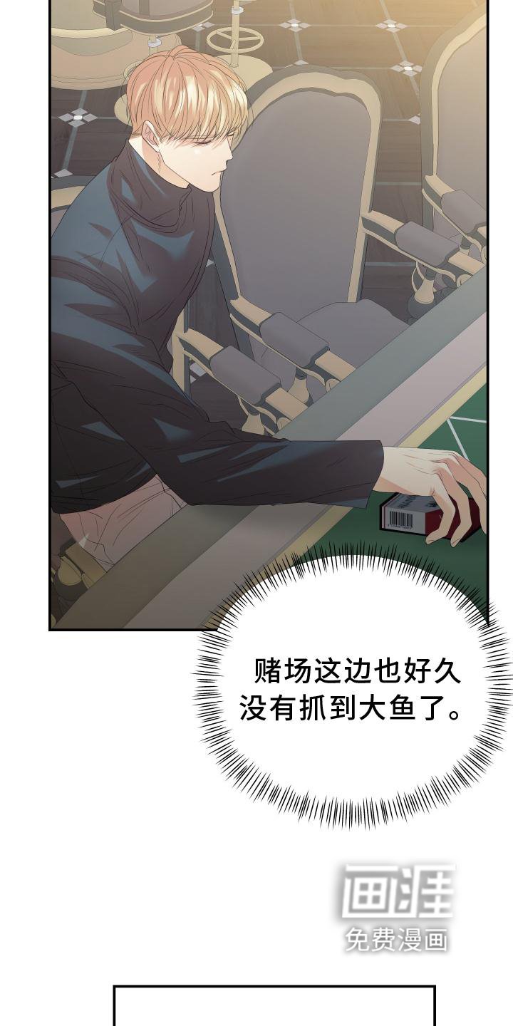 第19章：态度